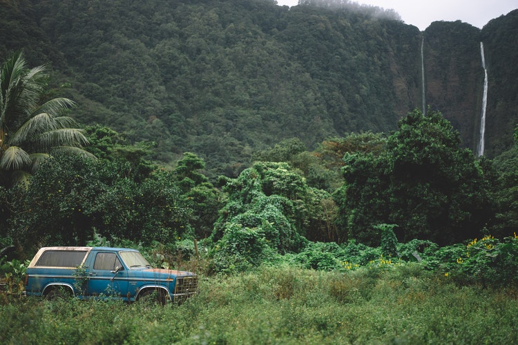 blue truck in front of tree covered cliff and waterfall