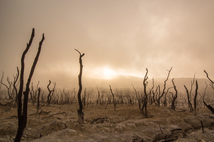 barren landscape